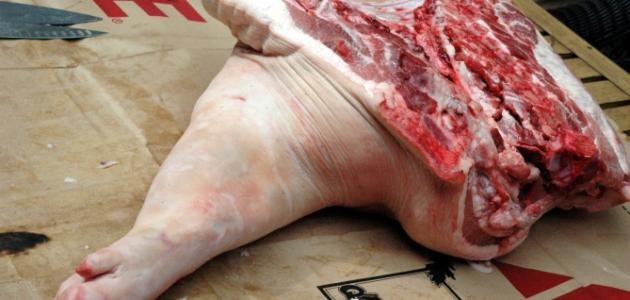 أضرار أكل لحم الخنزير