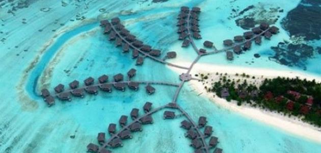 معلومات عن جزيرة المالديف