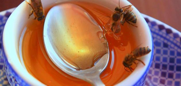 مقالة علمية عن العسل