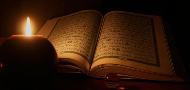 ما عدد سور القرآن الكريم