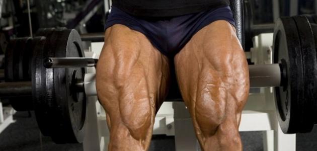 كيف اقوي عضلات الفخذ