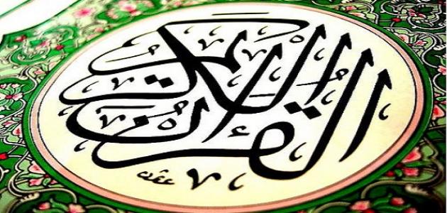 كيف تم تسمية سور القرآن