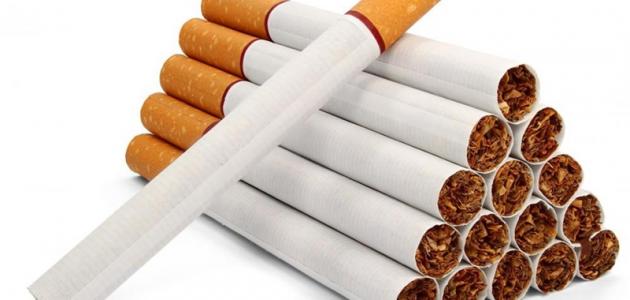 دراسة عن التدخين