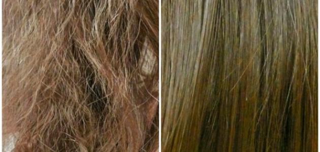 كيف تعالج الشعر التالف