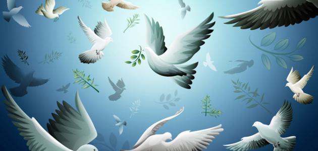 بحث عن أهمية السلام