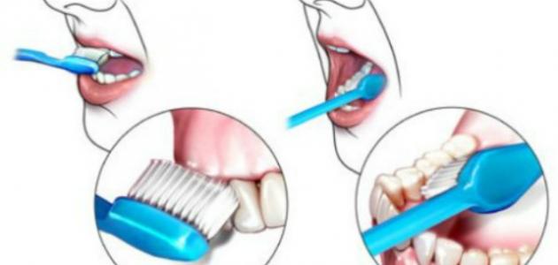 أهمية تنظيف الأسنان