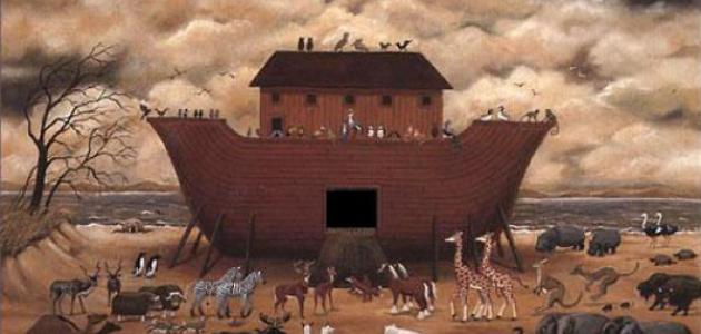 ماذا كان يعمل سيدنا نوح