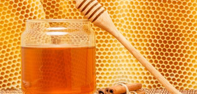 فوائد العسل والقرفة والزنجبيل