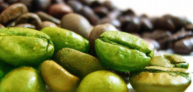 فوائد حبوب القهوة الخضراء