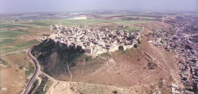 موقع مدينة حماة