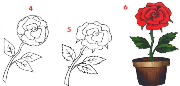 طريقة رسم الوردة