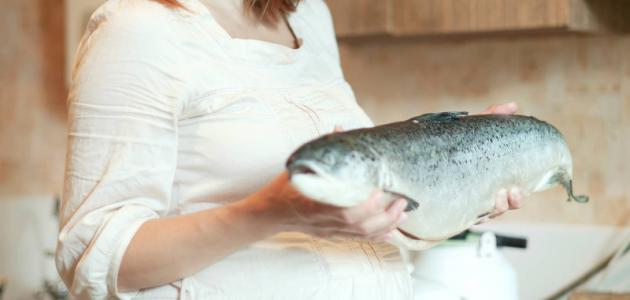 فوائد السمك للحامل والجنين