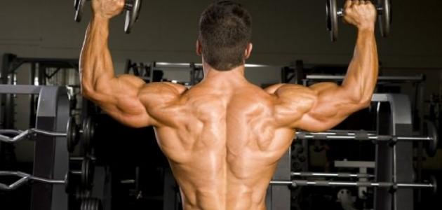 كيف تبني عضلات جسمك