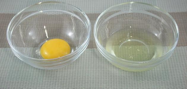 ما هي فوائد بياض البيض للشعر