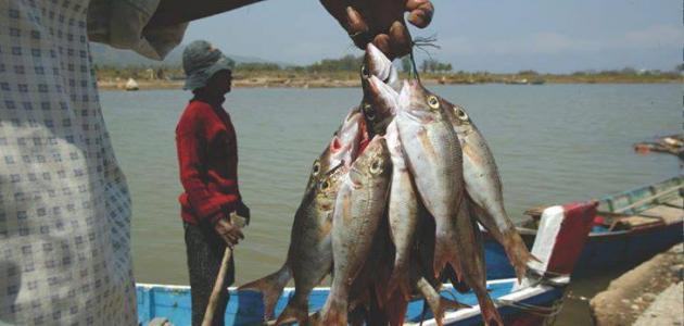 الصيد في ليبيا