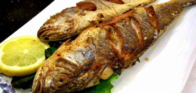 طرق طبخ سمك الهامور
