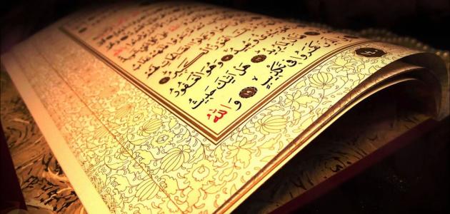 كم عدد سجدات القرآن الكريم