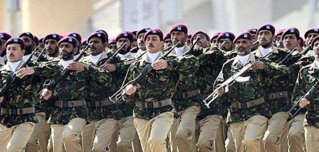 عدد الجيش الباكستاني