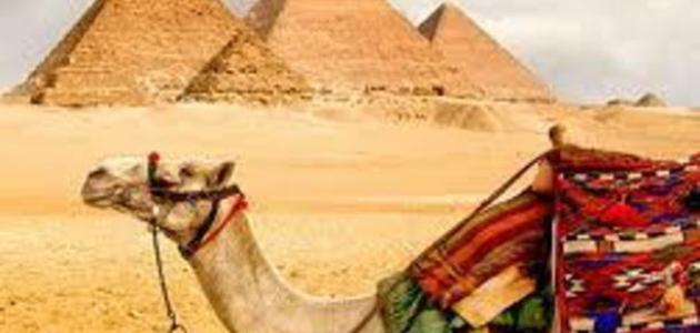 موضوع تعبير عن السياحة في مصر