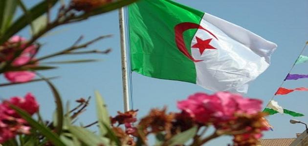 معلومات عن دولة الجزائر