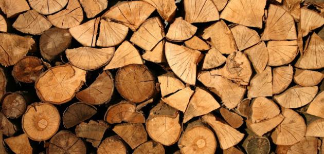 فوائد خشب السدر