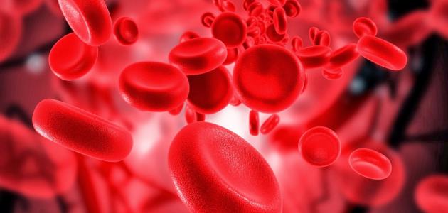 تأثير نقص أملاح الحديد في الدم