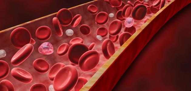 علاج انخفاض الهيموجلوبين في الدم