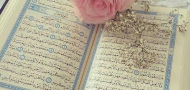 عدد أحزاب القرآن الكريم