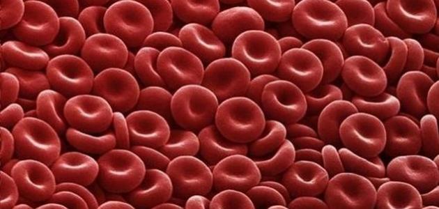 كيف أرفع نسبة الهيموجلوبين في الدم