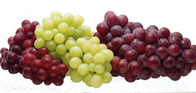 فوائد العنب للحمل