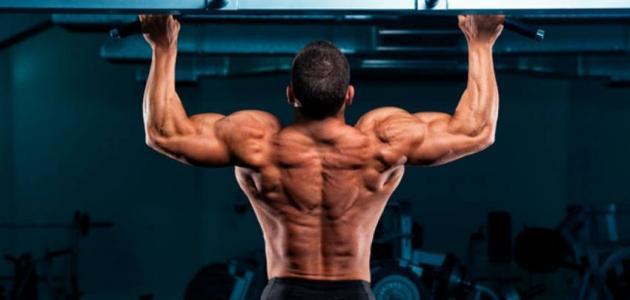 كيف تقوي عضلات الجسم