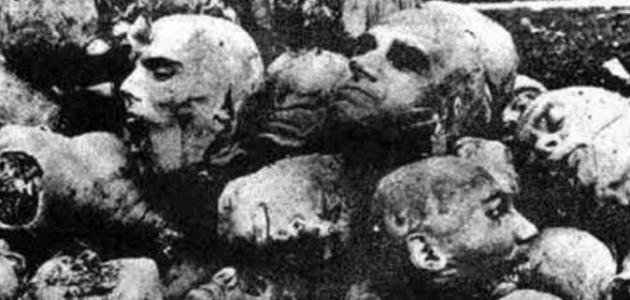 أسباب مذبحة الأرمن
