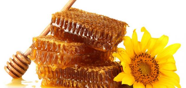 فوائد النحل والعسل