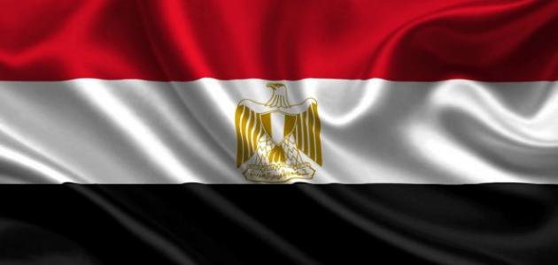 مقالة عن حب مصر