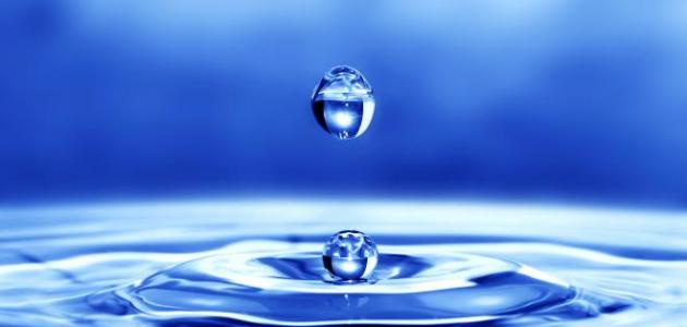 أهمية الماء