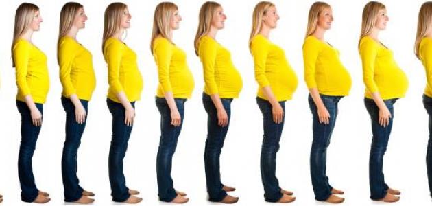 مراحل الحمل من الشهر الأول إلى التاسع