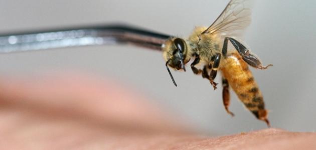 فوائد العلاج بسم النحل