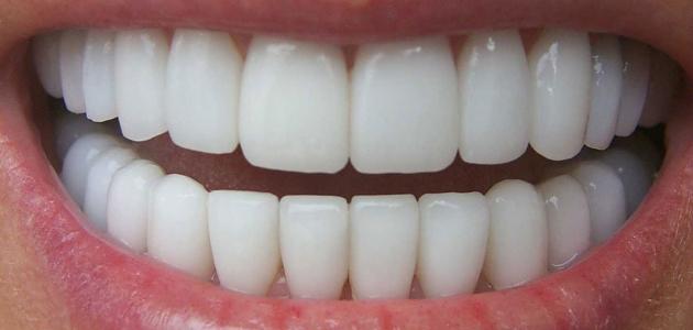 عدد الأسنان في فم الإنسان
