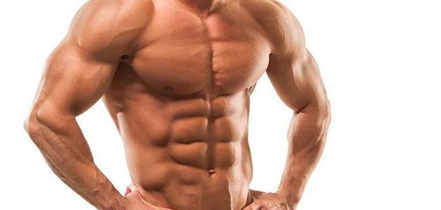 كيف أزيد حجم العضلات
