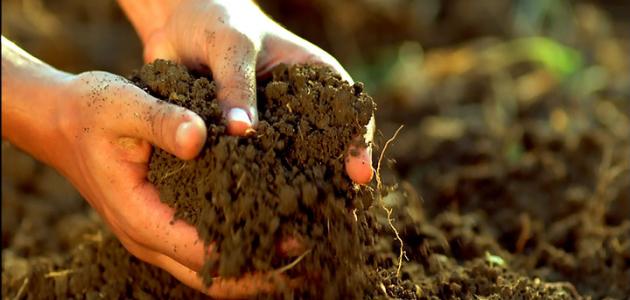كيفية تحسين مردودية التربة