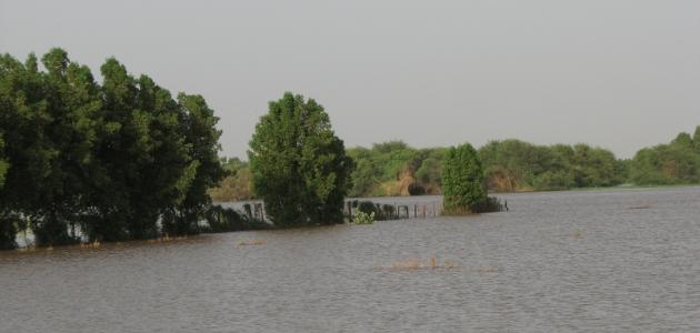 جزيرة صاي في السودان