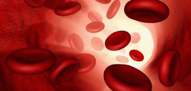 كم لتراً من الدم يحتوي جسم الإنسان