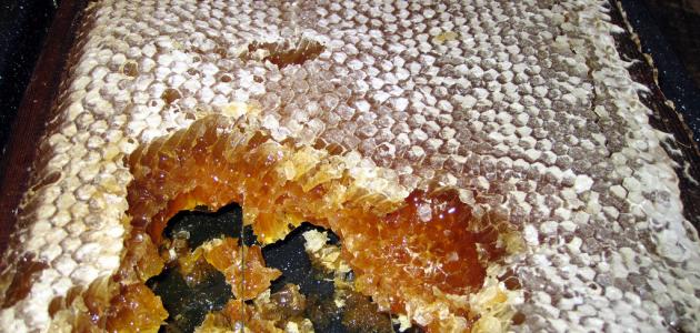 كيفية تمييز العسل الطبيعي