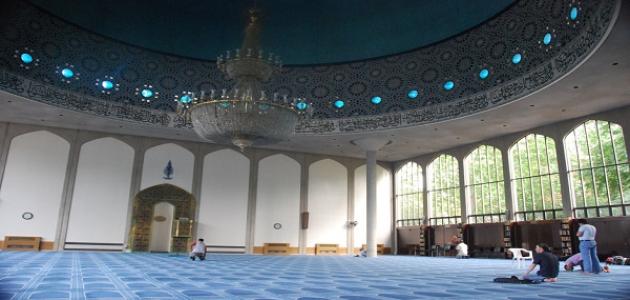 ما حكم صلاة تحية المسجد