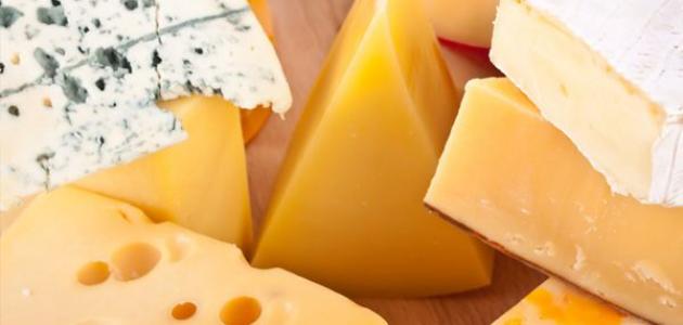 صناعة الجبنة الرومي