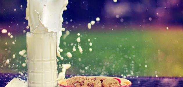 فوائد الحليب كامل الدسم لزيادة الوزن