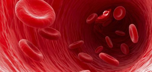 ما هو سرطان الدم