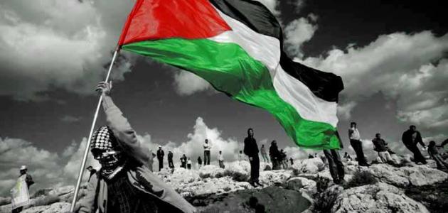 أجمل القصائد عن فلسطين