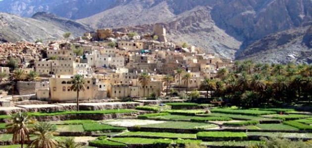 معلومات عامة عن تاريخ سلطنة عمان