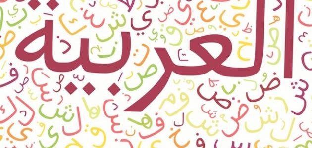 من إخترع اللغة العربية